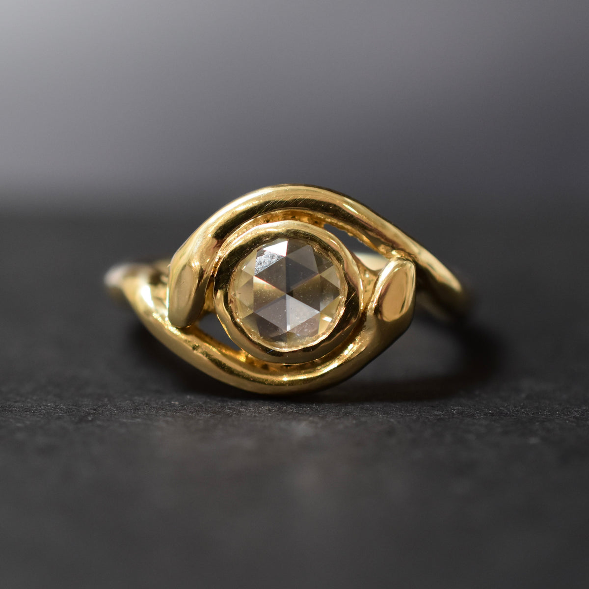 Perpetua Ring by Amanda Hunt