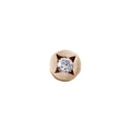 Scallop Stone studs
